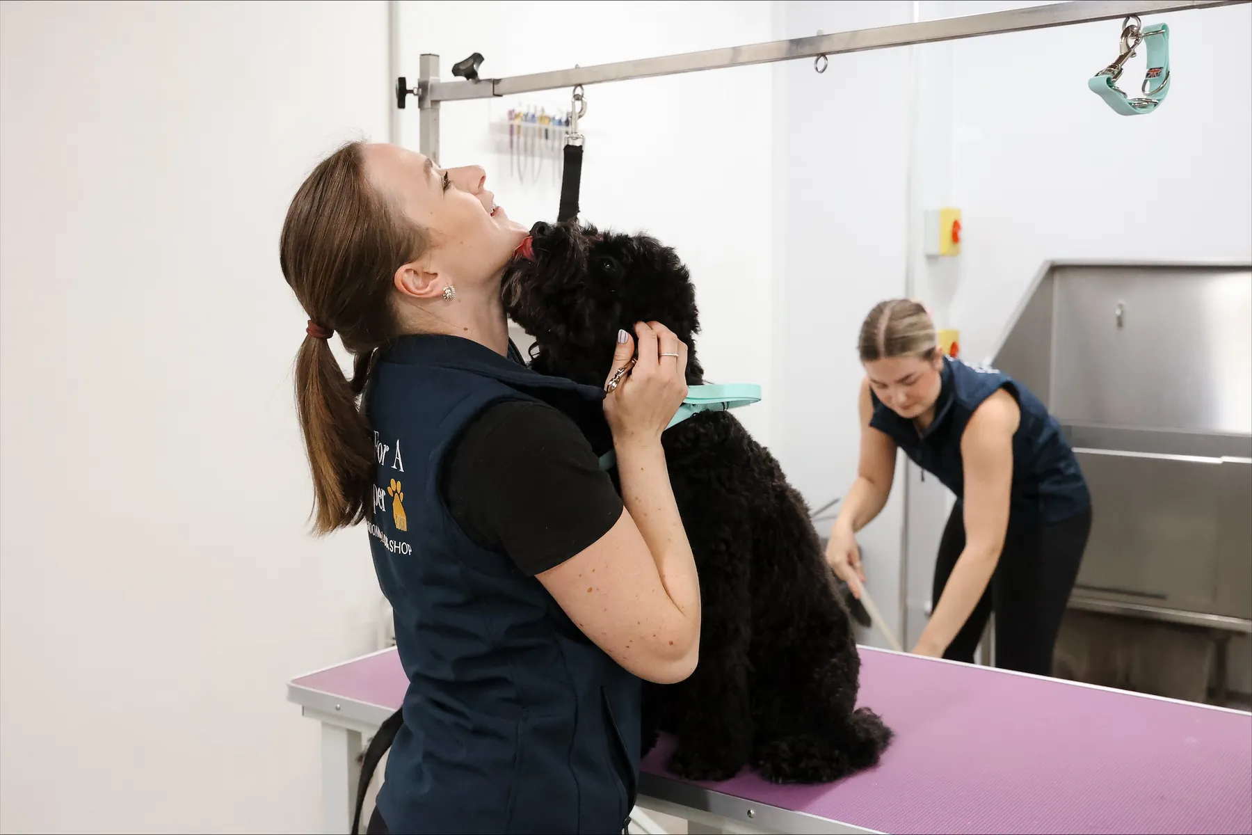 Georgie hugging a black dog on the table while Ruby works behind
