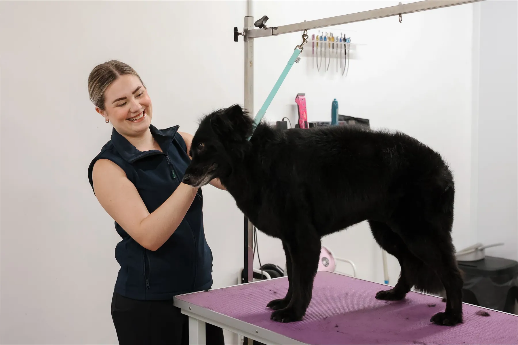 Georgie smiling at a black dog standing on the grooming table in the Paws For A Pamper salon
